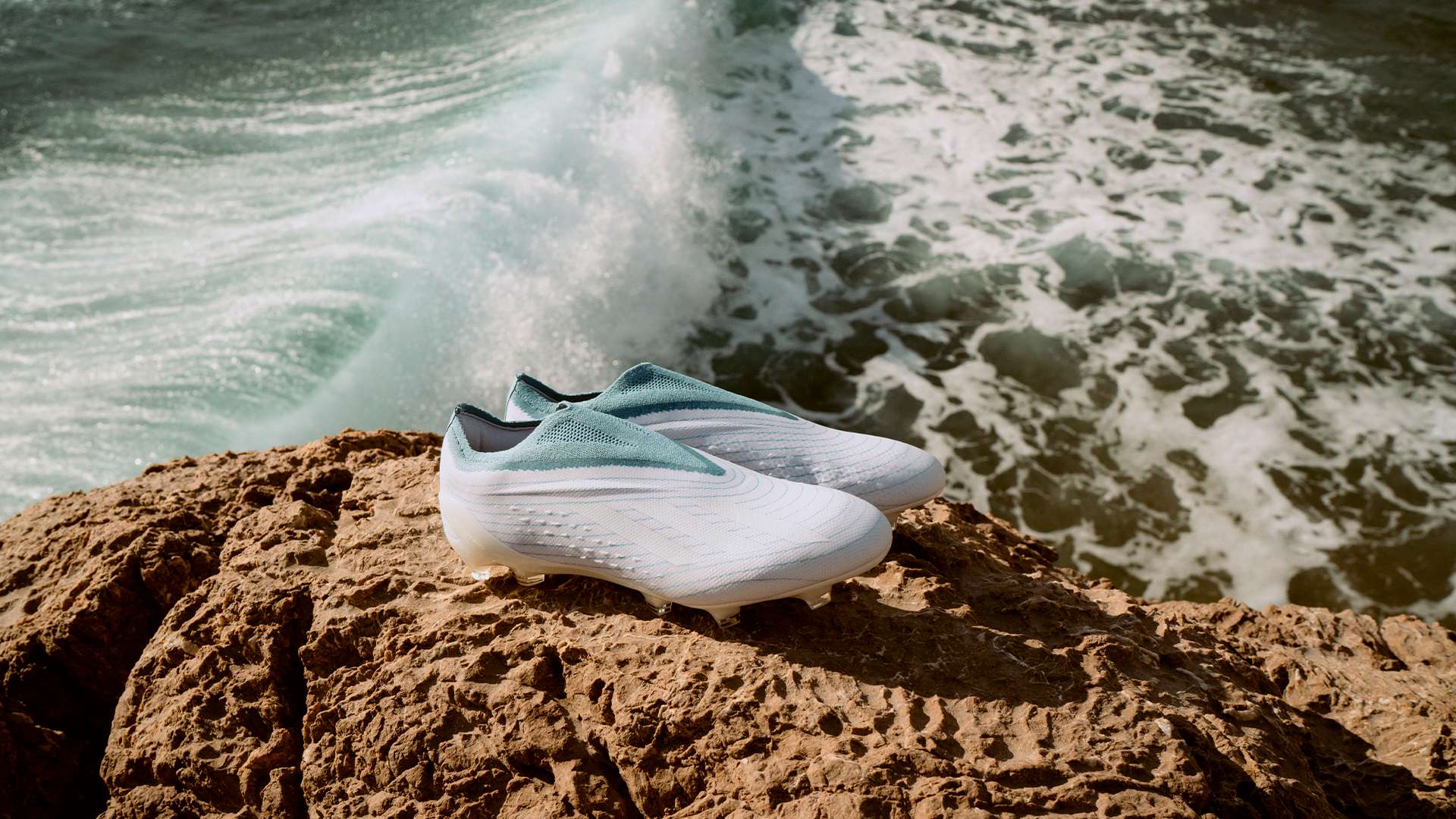 卫的地位 卫的地位